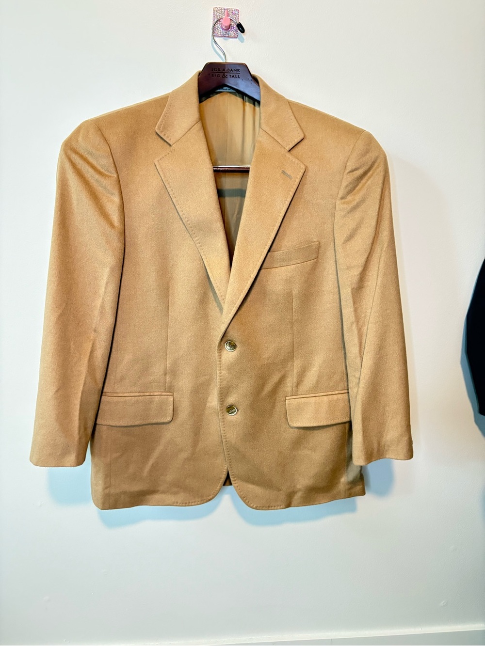 Lardini Men's Genuine Colombo Camel Hair Blazer US Size 44 XL